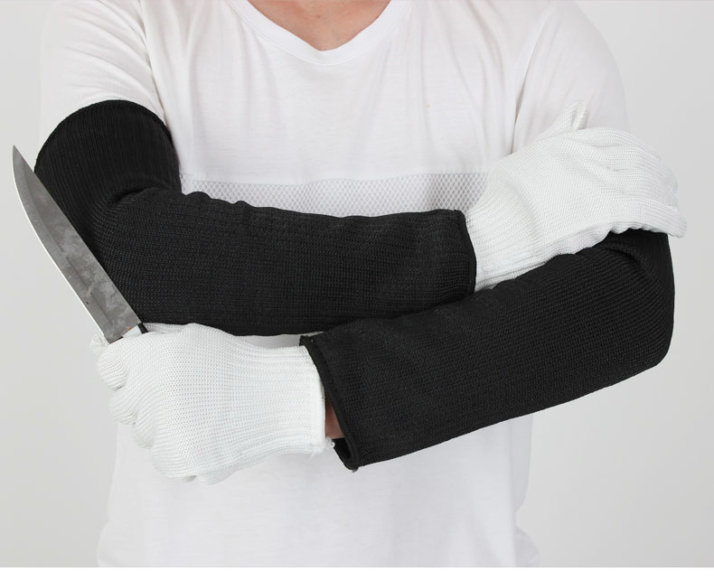 baoholaodongsato.com